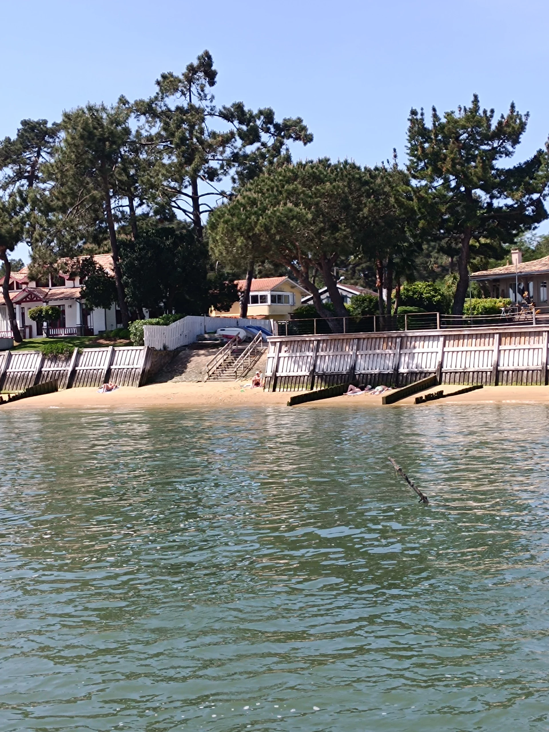 Plage et arbres - Arca Ferret balade en bateau - Bassin d'Arcachon