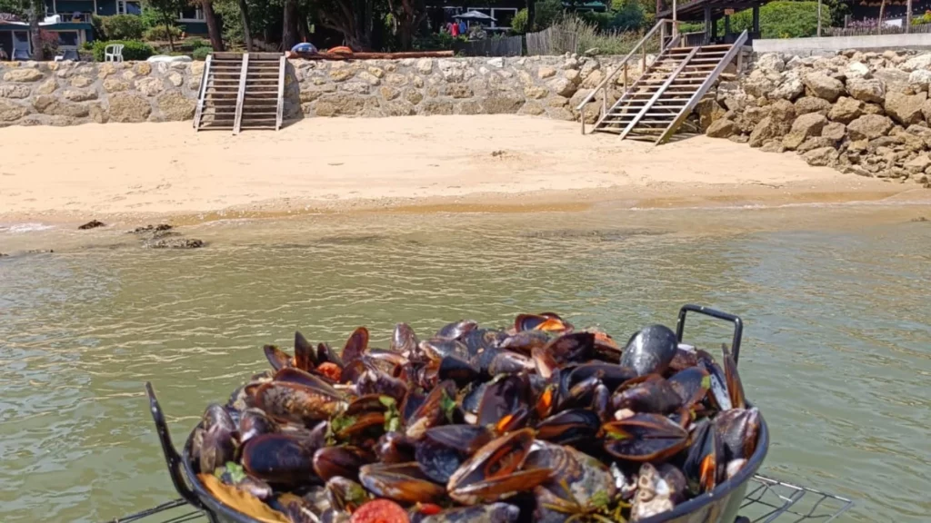 Moules sur bateau - Arca Ferret balade en bateau - Bassin d'Arcachon