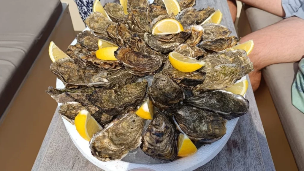 Huîtres sur bateau - Arca Ferret balade en bateau - Bassin d'Arcachon